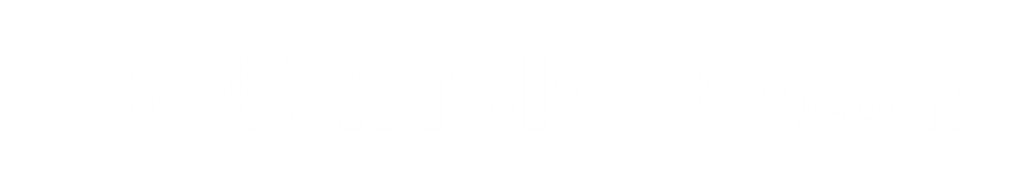 Logo Footer